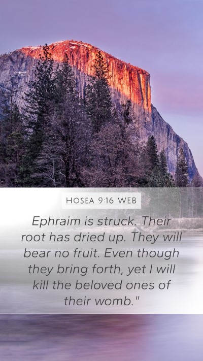 Hosea 9:16 WEB Bible Verse Image