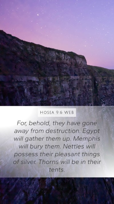 Hosea 9:6 WEB Bible Verse Image