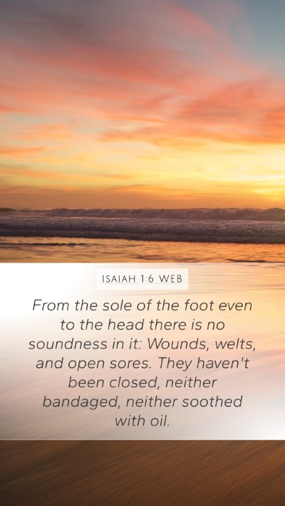 Isaiah 1:6 WEB Bible Verse Image