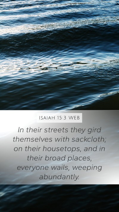 Isaiah 15:3 WEB Bible Verse Image