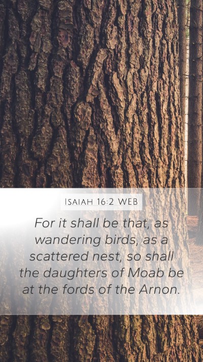 Isaiah 16:2 WEB Bible Verse Image