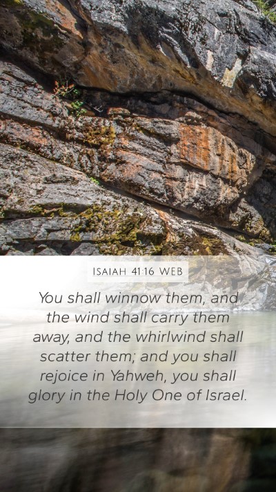 Isaiah 41:16 WEB Bible Verse Image