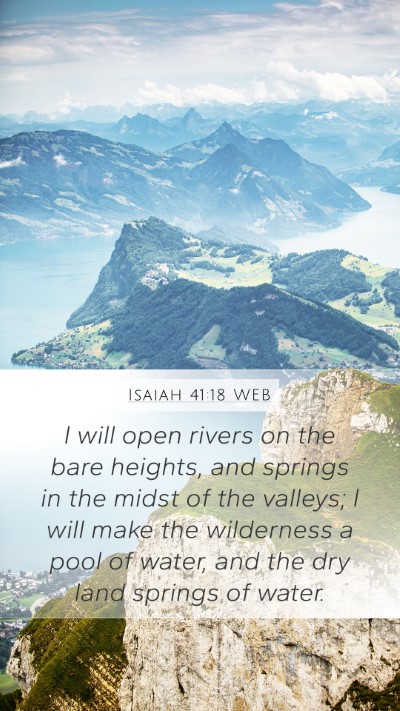Isaiah 41:18 WEB Bible Verse Image