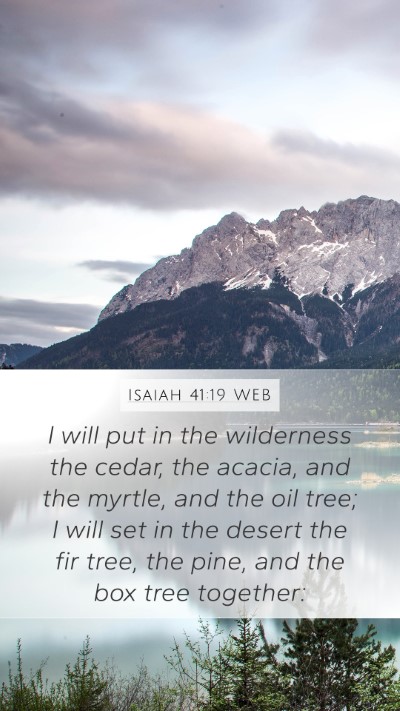 Isaiah 41:19 WEB Bible Verse Image