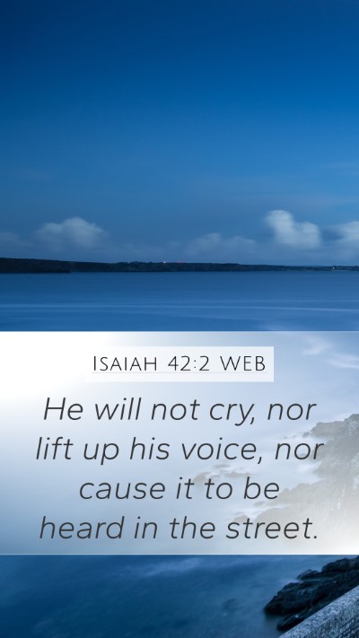 Isaiah 42:2 WEB Bible Verse Image