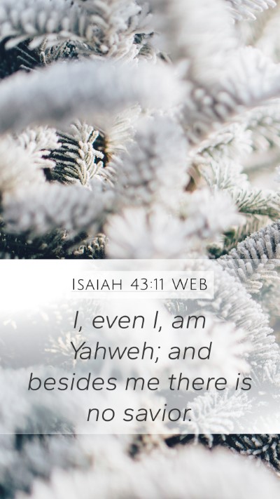 Isaiah 43:11 WEB Bible Verse Image