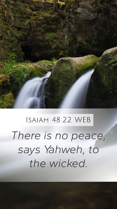 Isaiah 48:22 WEB Bible Verse Image