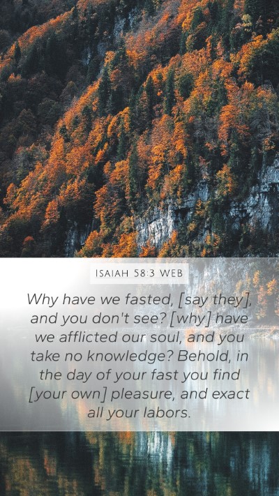 Isaiah 58:3 WEB Bible Verse Image