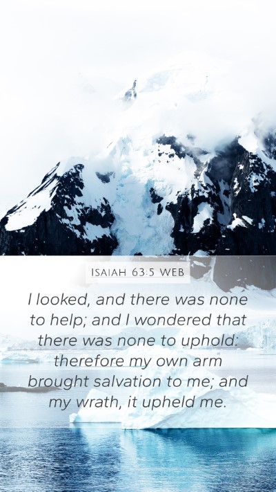 Isaiah 63:5 WEB Bible Verse Image
