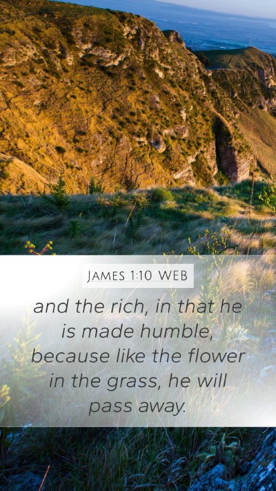 James 1:10 WEB Bible Verse Image