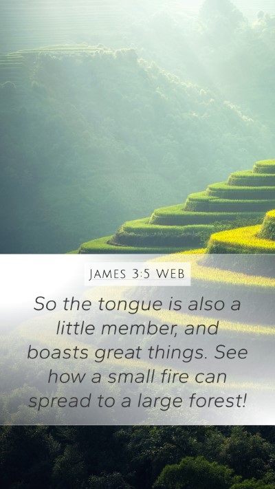 James 3:5 WEB Bible Verse Image