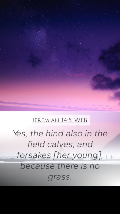 Jeremiah 14:5 WEB Bible Verse Image