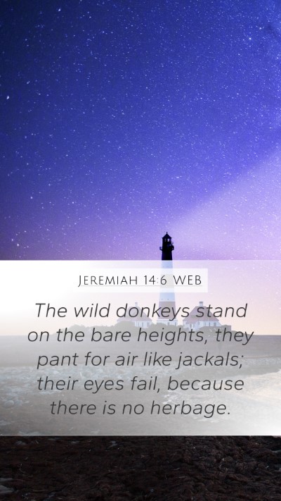 Jeremiah 14:6 WEB Mobile Phone Wallpaper - The wild donkeys stand on the bare heights, they - Mobile Bible Verse Wallpaper