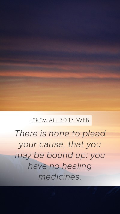 Jeremiah 30:13 WEB Bible Verse Image