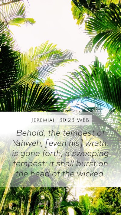 Jeremiah 30:23 WEB Bible Verse Image