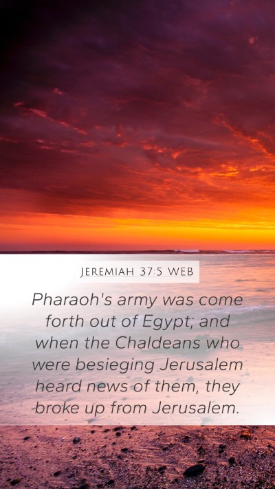 Jeremiah 37:5 WEB Bible Verse Image