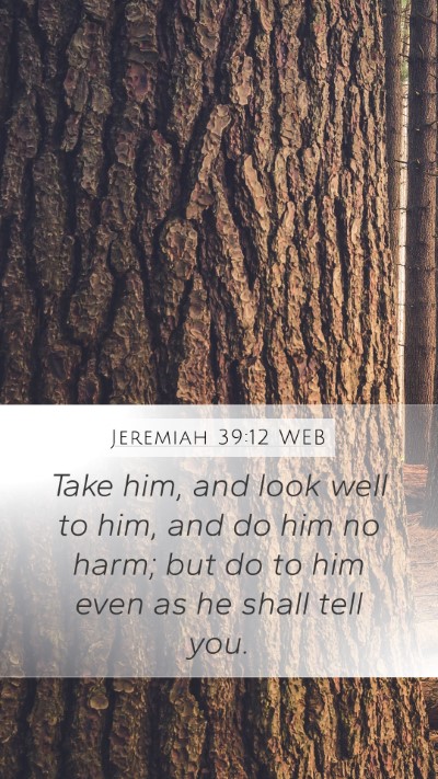 Jeremiah 39:12 WEB Mobile Phone Wallpaper - Take him, and look well to him, and do him no - Mobile Bible Verse Wallpaper