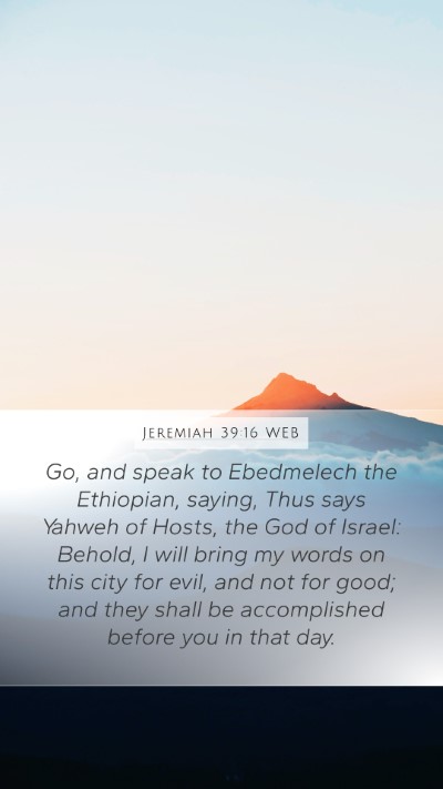 Jeremiah 39:16 WEB Bible Verse Image