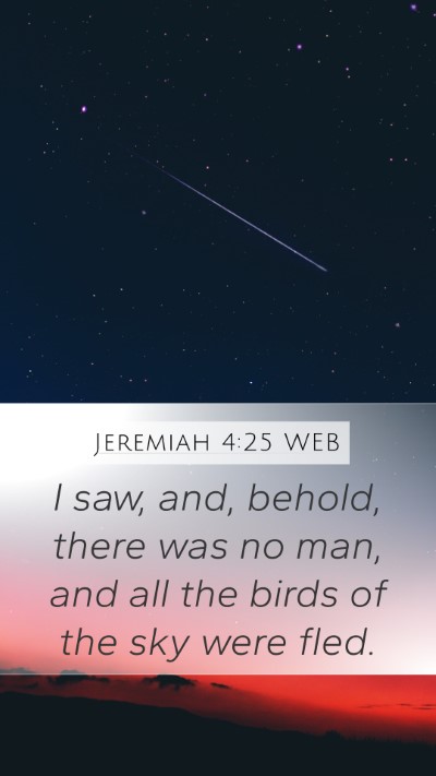 Jeremiah 4:25 WEB Bible Verse Image