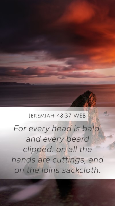 Jeremiah 48:37 WEB Bible Verse Image