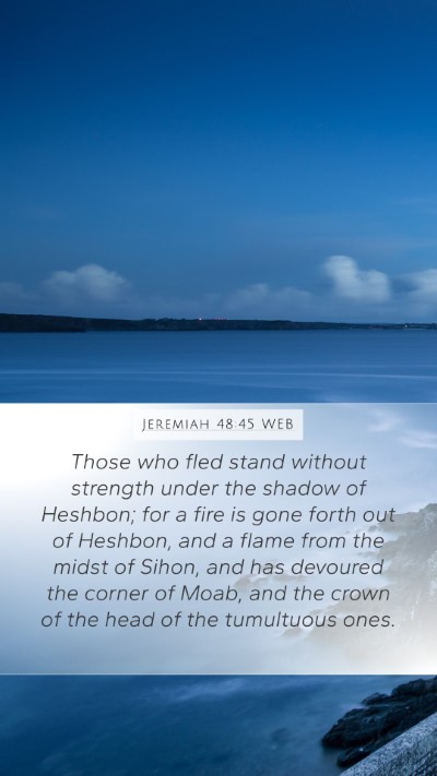 Jeremiah 48:45 WEB Bible Verse Image