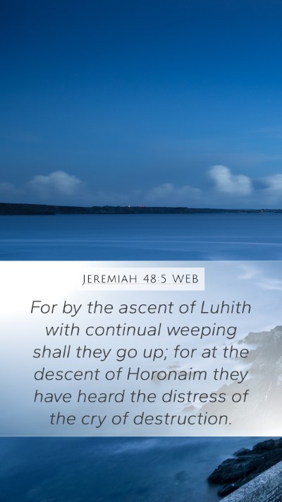 Jeremiah 48:5 WEB Bible Verse Image