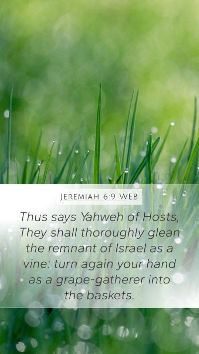 Jeremiah 6:9 WEB Bible Verse Image