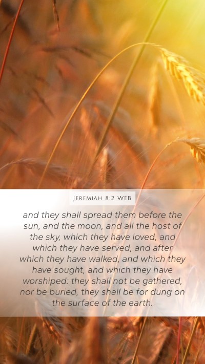 Jeremiah 8:2 WEB Bible Verse Image