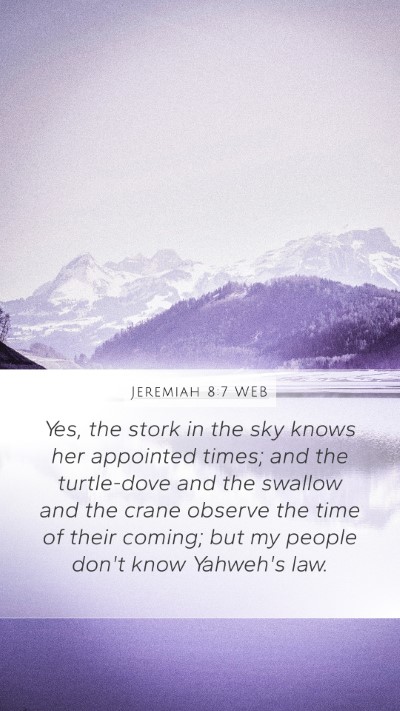 Jeremiah 8:7 WEB Bible Verse Image