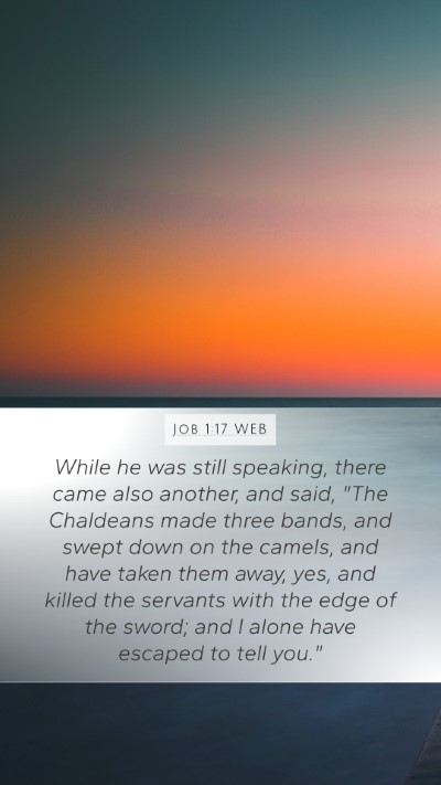 Job 1:17 WEB Bible Verse Image