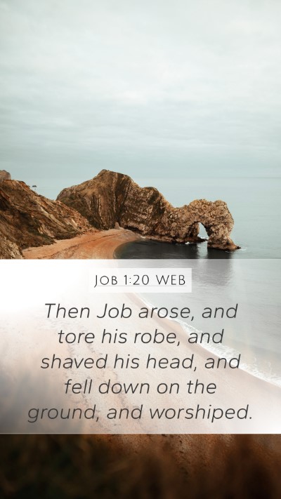 Job 1:20 WEB Bible Verse Image