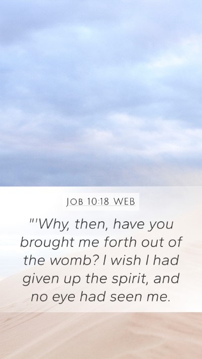 Job 10:18 WEB Bible Verse Image