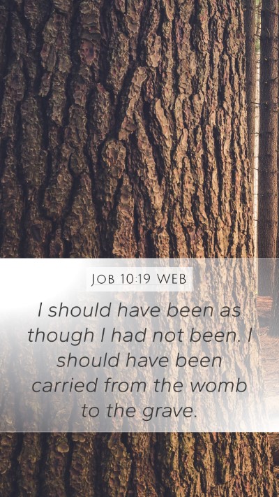 Job 10:19 WEB Mobile Phone Wallpaper - I should have been as though I had not been. I - Mobile Bible Verse Wallpaper