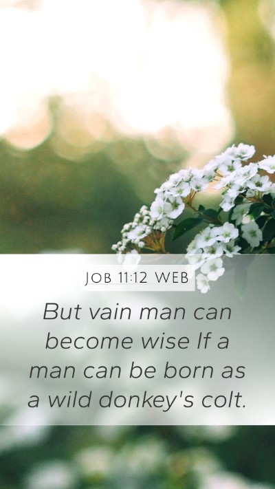 Job 11:12 WEB Bible Verse Image