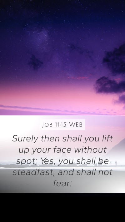 Job 11:15 WEB Bible Verse Image