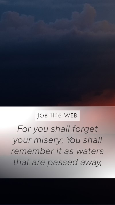 Job 11:16 WEB Mobile Phone Wallpaper - For you shall forget your misery; You shall - Mobile Bible Verse Wallpaper