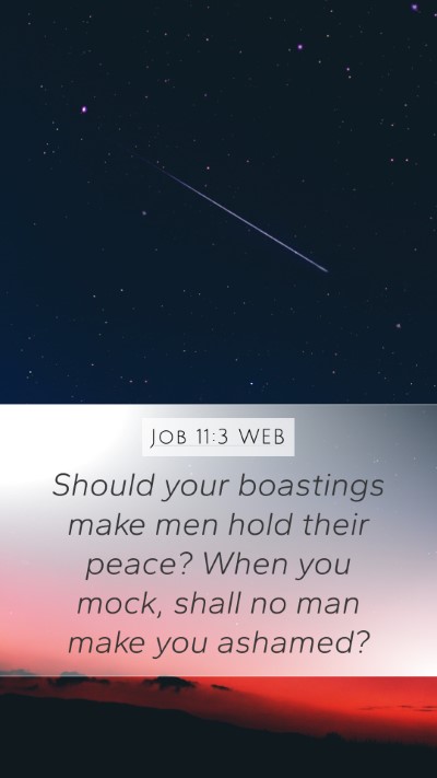Job 11:3 WEB Bible Verse Image