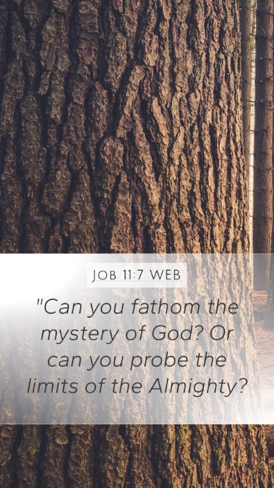 Job 11:7 WEB Bible Verse Image