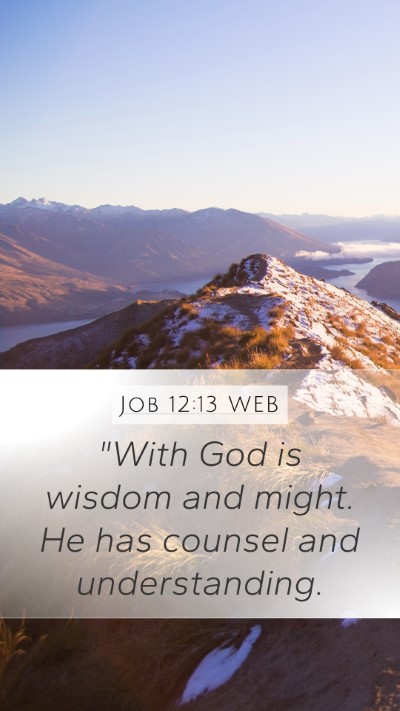 Job 12:13 WEB Bible Verse Image