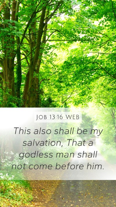 Job 13:16 WEB Bible Verse Image