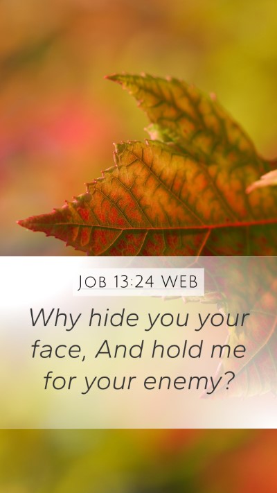 Job 13:24 WEB Bible Verse Image
