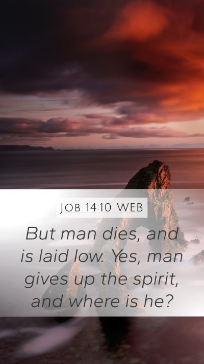 Job 14:10 WEB Bible Verse Image