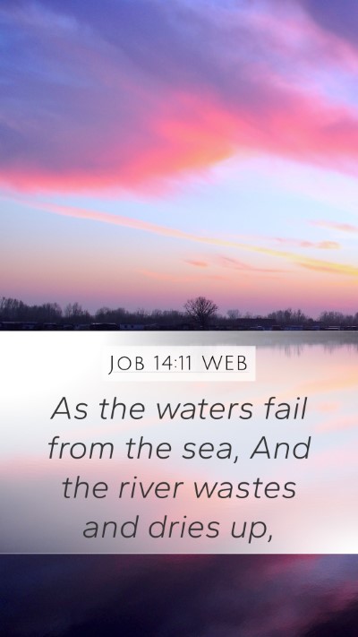 Job 14:11 WEB Mobile Phone Wallpaper - As the waters fail from the sea, And the river - Mobile Bible Verse Wallpaper