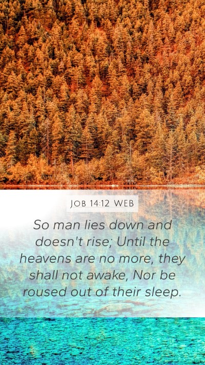 Job 14:12 WEB Bible Verse Image