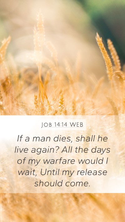 Job 14:14 WEB Bible Verse Image