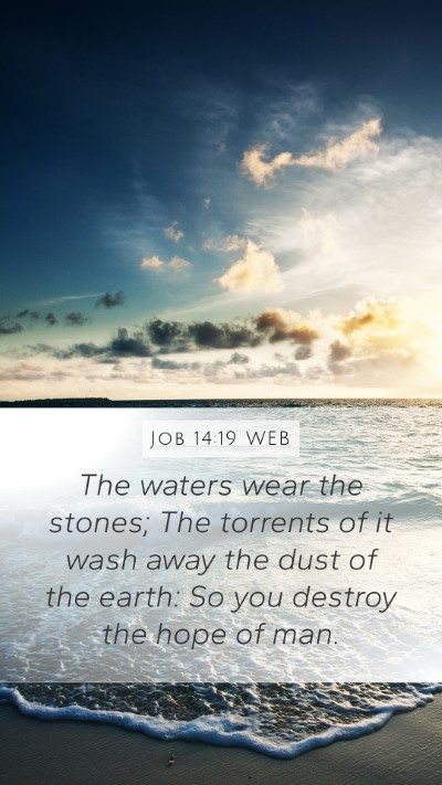 Job 14:19 WEB Bible Verse Image