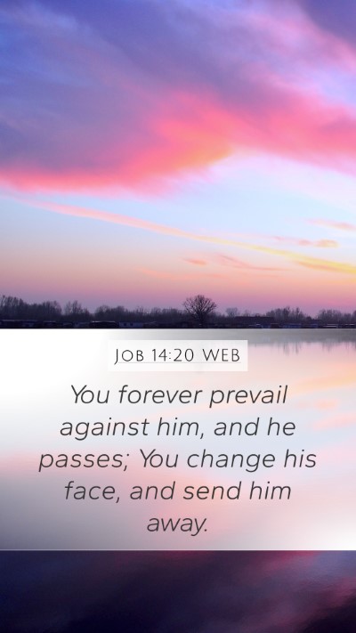 Job 14:20 WEB Bible Verse Image