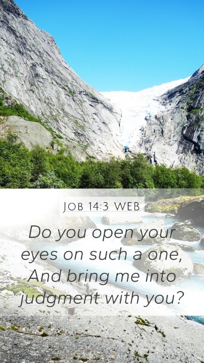 Job 14:3 WEB Bible Verse Image