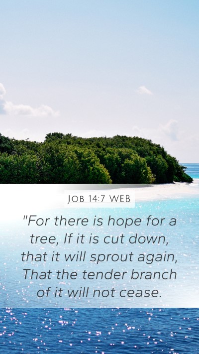 Job 14:7 WEB Bible Verse Image