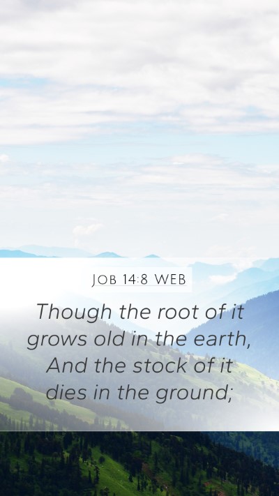 Job 14:8 WEB Mobile Phone Wallpaper - Though the root of it grows old in the earth, And - Mobile Bible Verse Wallpaper